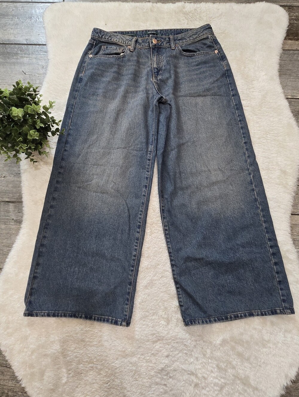 Wild Fable Low-Rise Baggy Wide Leg Y2K Punk Skater Grunge Streetwear Jeans, 10R
